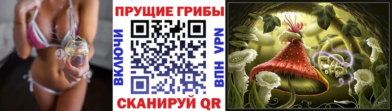 shop официальный сайт  Ржев  Галлюциногенные грибы GOLDEN TEACHER 